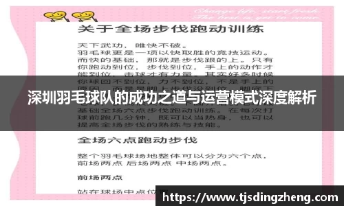 深圳羽毛球队的成功之道与运营模式深度解析