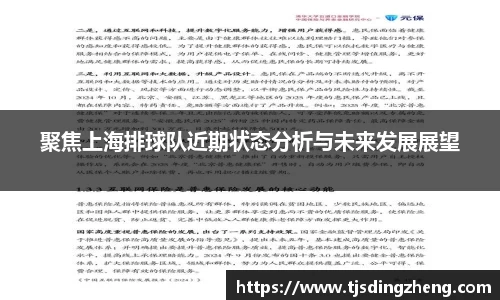 聚焦上海排球队近期状态分析与未来发展展望